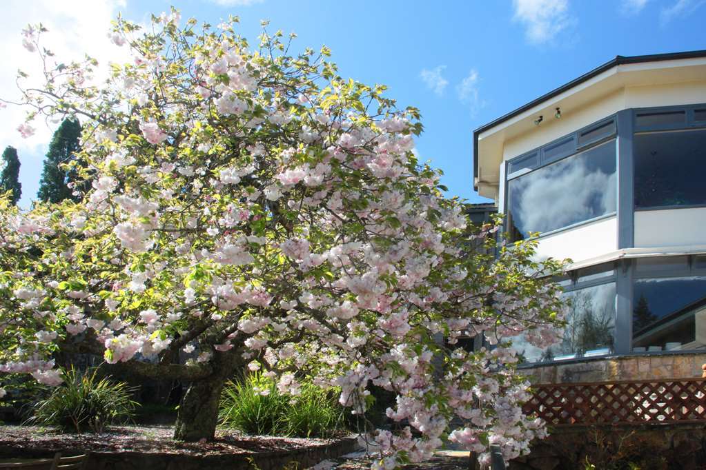 Nesuto Leura Gardens Hotel Exterior foto