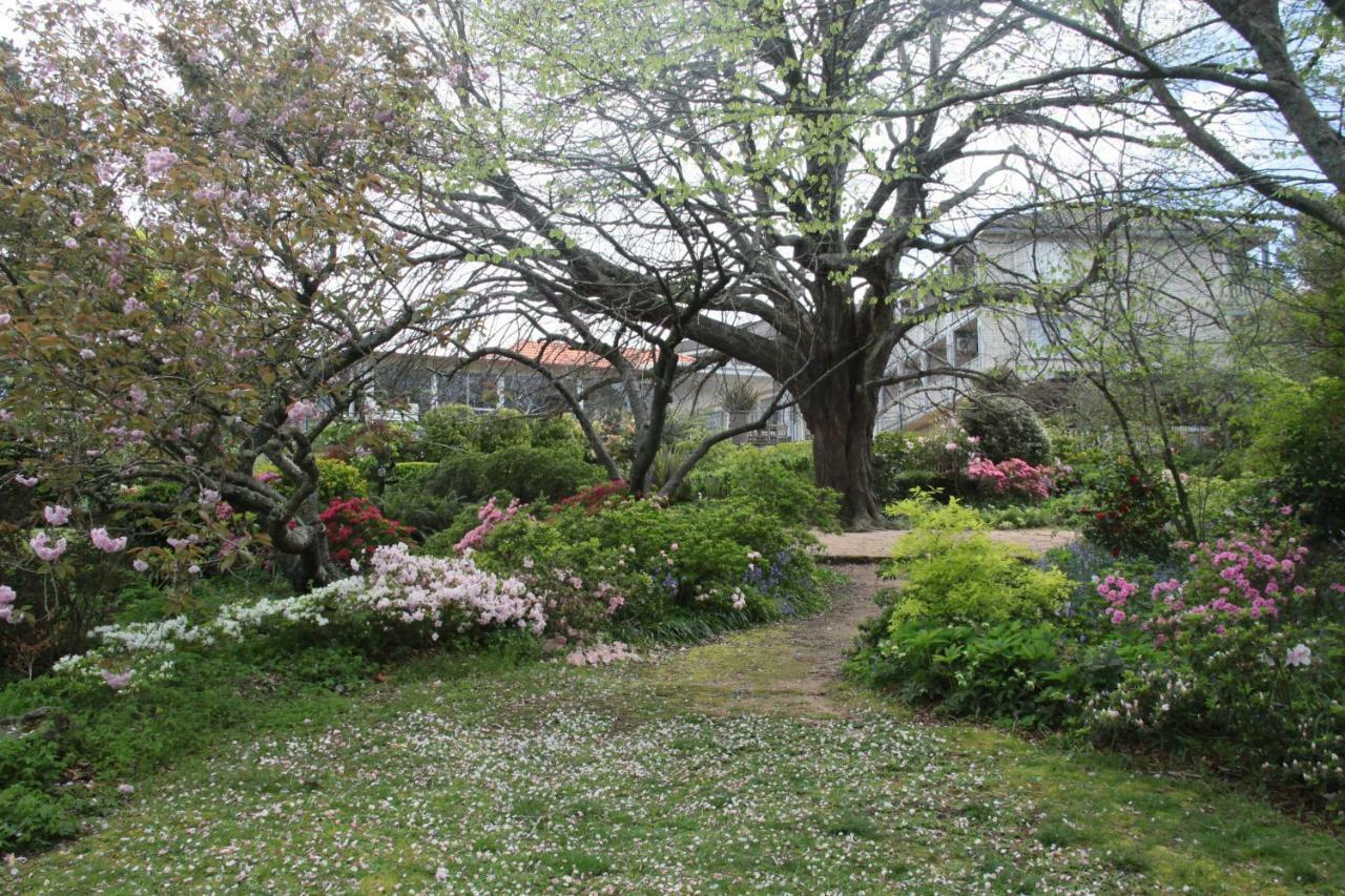 Nesuto Leura Gardens Hotel Exterior foto